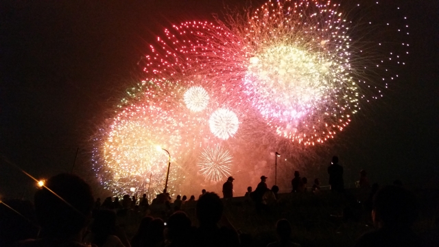 江戸川花火を楽しむ穴場スポットの新定番