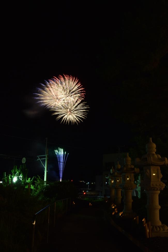 天津小湊の花火、今年の見どころはこれだ!