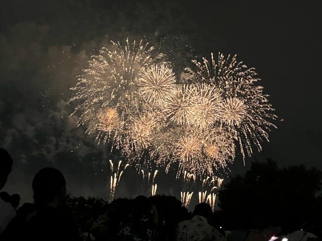 花火と共に過ごす！調布市花火大会の穴場とアクセスガイド